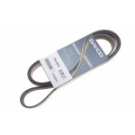 Ремінь генератора Peugeot Expert/Citroen Jumpy 1.9D/TD 96-/2.0HDI 00- (HD)