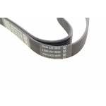 Ремінь генератора Peugeot Expert/Citroen Jumpy 1.9D/TD 96-/2.0HDI 00-