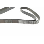 Ремінь генератора VW LT 2.5TDI 96-01/Peugeot Expert 1.9D/2.0HDI 98-