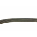 Ремінь генератора Renault Master 2.2/2.5 dCi