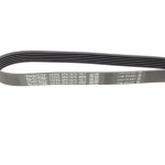 Ремінь генератора Audi/BMW/Chevrolet/MB/Opel