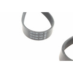 Ремінь генератора BMW X5/Ford Focus 1.4/1.6 16V 98-