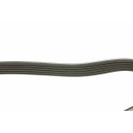 Ремінь генератора MB Vito OM601/602 (AC)/ M111 (PS)