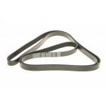 Ремінь генератора VW Passat/Audi A4 2.5TDI/3.2FSi 94-