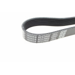 Ремінь генератора Jeep Grand Cherokee II 2.7 CRD 01-05