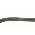 Ремінь генератора Citroen Jumper/Peugeot Boxer 2.0/2.2HDi 04- (-AC)/Opel Movano 2.5D