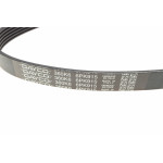 Ремінь генератора Citroen Jumper/Peugeot Boxer 2.5D/TDI 94-02 AC /2.5D -95