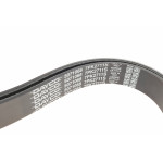 Ремінь генератора Ford Transit 2.4 TDCI 06-