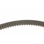 Ремінь ГРМ Nissan Primera/Renault Megane III 1.9 dCi 02-