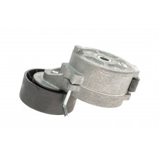 Натяжник ременя генератора Ford Mondeo IV/Peugeot 407 2.0TDCi/2.2 HDi 06-