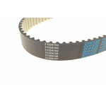 Комплект ГРМ VW Caddy/VW T5 03- (120x30)