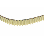 Комплект ГРМ Renault Kangoo 1.5dCi 01- (123x27)