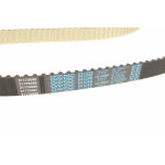 Комплект ГРМ Citroen Berlingo/Jumpy 1.6HDI 10- (z=141)