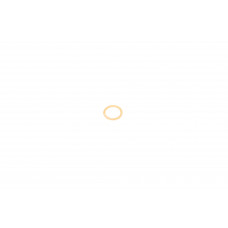 Шайба болта зливу оливи BMW/Mini 05- (12x16x1) Шайба болта зливу оливи BMW/Mini 05- (12x16x1)