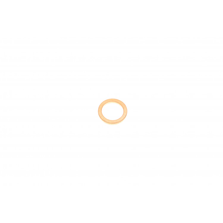 Шайба під форсунку Citroen/Peugeot 1.9 (15,5x 21x 2)