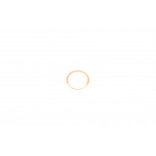 Шайба болта зливу оливи (22x27x1.5)