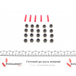 Сальник клапана (впуск/випуск) VW Passat 96-05 (к-кт 20шт)