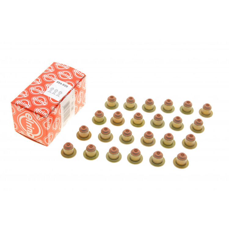 Сальник клапана (впуск/випуск) BMW X3 (F25/G01/F97)/X4 (G02/F98)/X5 (F5/F85/G05/F95) 11-(к-кт 24шт.)