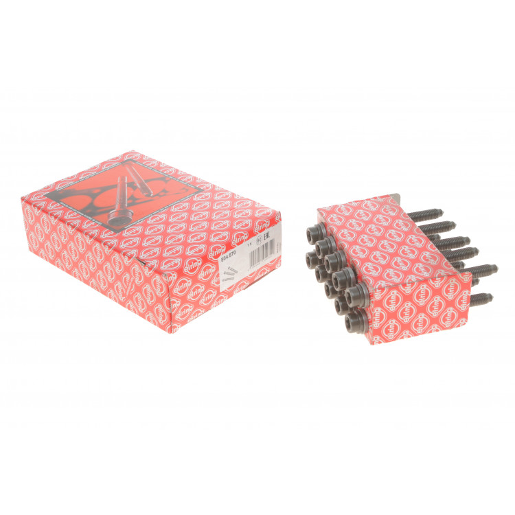 Болти головки (к-кт 10шт.) VW Caddy 2.0 EcoFuel