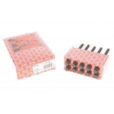 Болти головки (к-кт 10шт.) Ford Fiesta/Sierra 1.6 83-