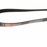 Ремінь генератора Ford Focus/Fiesta/Fusion/Mazda 2 1.25-1.6 98-