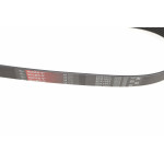 Ремінь генератора Fiat Doblo 1.9D