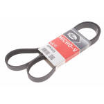 Ремінь генератора Ford Connect 1.8TDCI