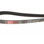 Ремінь генератора VW T4/Renault Laguna II/Peugeot 407/807/Citroen C5/C8 2.0-3.0 90-10