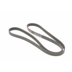 Ремінь генератора Ford Connect 1.8 TDCI