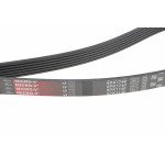 Ремінь генератора Peugeot Expert/Citroen Jumpy 1.9D/TD 96-/2.0HDI 00-