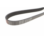 Ремінь генератора VW T4 2.0i 91-03/Opel Vectra A/B