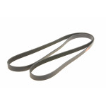 Ремінь генератора MB Vito (W638) 2.2 CDI 96-/VW T4 2.4D/2.5TDI 92-03