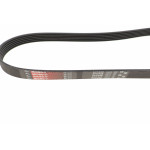 Ремінь генератора Fiat Ducato 2.5/2.8 JTD 97-02