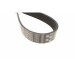 Ремінь генератора Kia Sorento/Hyundai H350 2.5 CRDi 02-