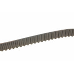 Комплект ГРМ Audi A4/A6/VW Caddy II/Golf III/Passat 1.9TDI 96-04 (25x137z)