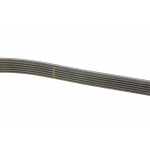 Ремінь генератора Hyundai Santa Fe/Kia Sorento 2.4 CVVT 09-15