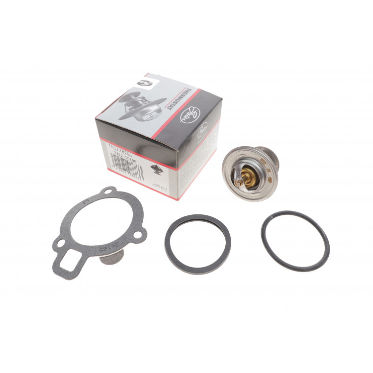 Термостат VW T5 1.9TDI