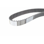 Комплект ГРМ VW Passat/Audi A4 1.9 TDI 95-01 (137x25)