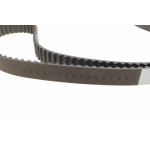 Комплект ГРМ + помпа VW Caddy 1.6TDI-2.0TDI 09- (160х25) (внутрішня помпа P655)