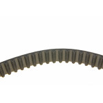 Комплект ГРМ + помпа VW T6/Golf/Passat/Caddy 1.6/2.0 TDI 15- (145x25)(помпа P669)