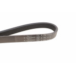 Ремінь генератора Renault Kangoo 1.4i 98-/ 1.6i 02- (5PK1110)