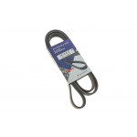 Ремінь генератора VW Crafter 2.0TDI 06- (6PK1613)