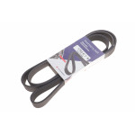 Ремінь генератора Renault Master/Opel Movano 2.5 dCi 03- (7PK1792)