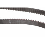 Комплект ГРМ Citroen Berlingo/Jumpy 2.0HDI, (141x25.40), 66/69kw