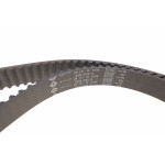 Комплект ГРМ + помпа VW Passat B6/Golf V/Jetta III 2.0TDI 03- (141х30)