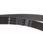 Комплект ГРМ + помпа Skoda Octavia/VW Golf 2.0TDI 03-