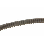 Комплект ГРМ Fiat Doblo 1.9D 01- (193x24)