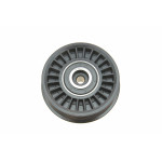 Ролик генератора Audi A4/A6/VW Passat 1.9-2.0TDI 98-05 (паразитний) (75.5x21.5x8)