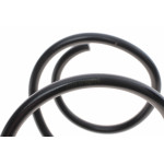 Пружина (передня) BMW 3 (E46) 316i/318i/316Ci/318Ci 98-06 (седан/універсал/купе) (без спорт.ход.ч.)