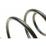 Пружина (передня) Citroen Jumpy/Peugeot Expert 2.0HDi 99-06/Fiat Scudo 1.9D/2.0JTD (фург/с борт.пл)